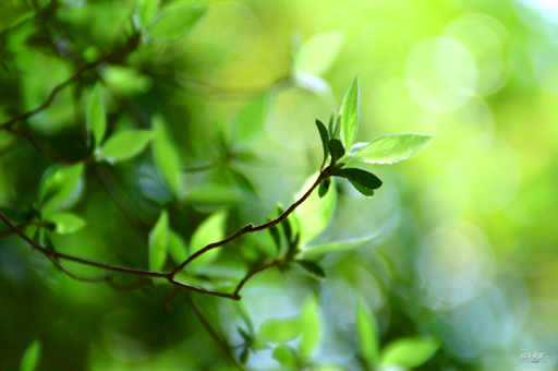 一颗问题电芯引发的全球关注，机场充电宝滞留事件深度解析