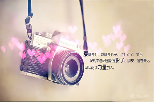 买买买！宽基ETF，获大举加仓