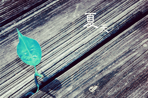 传奇回家！范志毅重返水晶宫