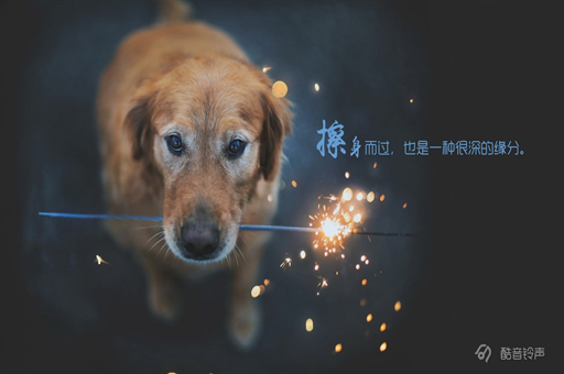外逃山西前首富巨额资产在英国被没收，揭秘背后的故事